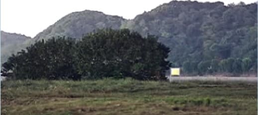 Manufacturer test footage of trees and a hillside captured in low light
