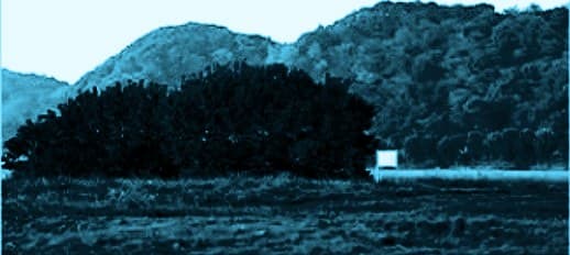 Manufacturer test footage of trees and a hillside captured in low light — night-vision view